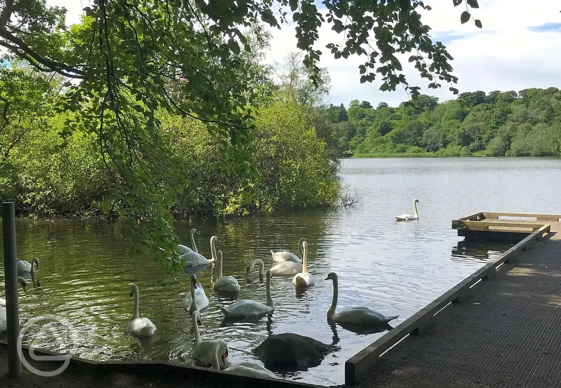 Opposite Bolam Lake Country Park 