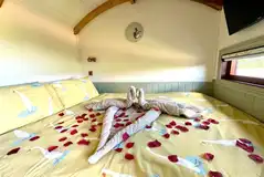 Romantic package (bookable extra) Romantic package (bookable extra)