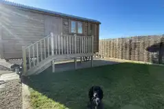 Dog friendly Dog friendly