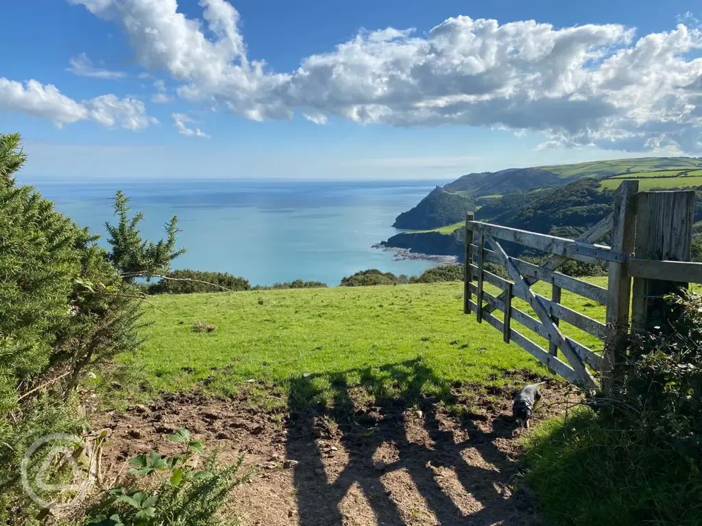 Views from nearby fields - Woody Bay