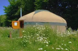 Orchid Meadows, Tynreithyn, Tregaron, Ceredigion Orchid Meadows, Tynreithyn, Tregaron, Ceredigion