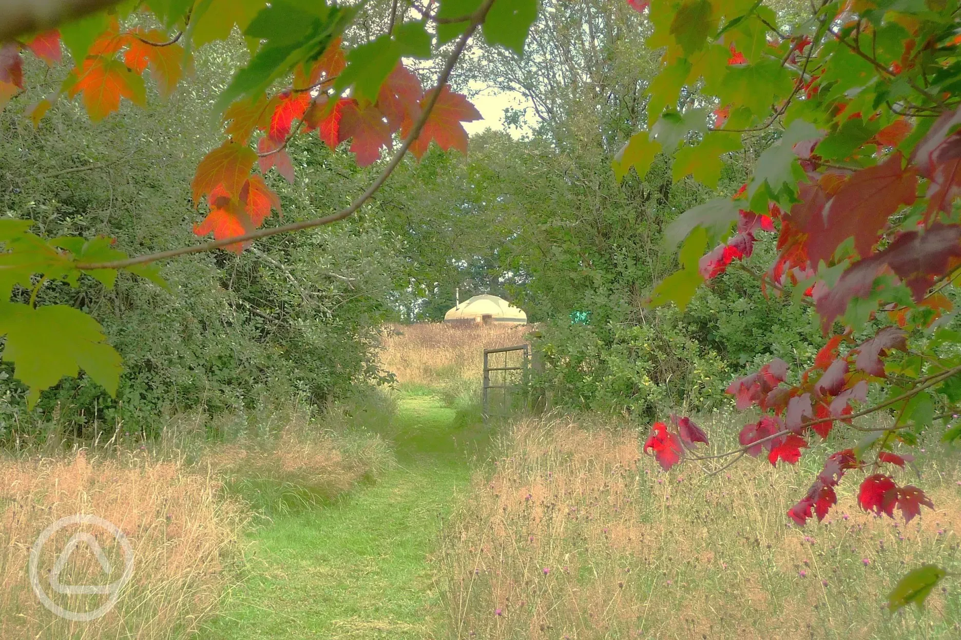 Red Kite Yurt stands on its own in Home Meadow