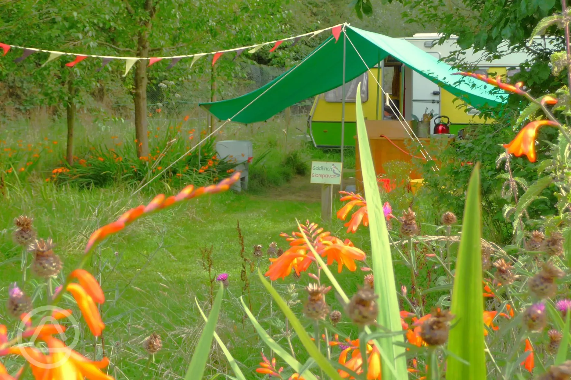 Goldfinch Glampavan nestles within our orchard area