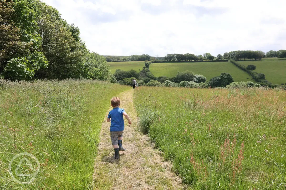 Countryside walks