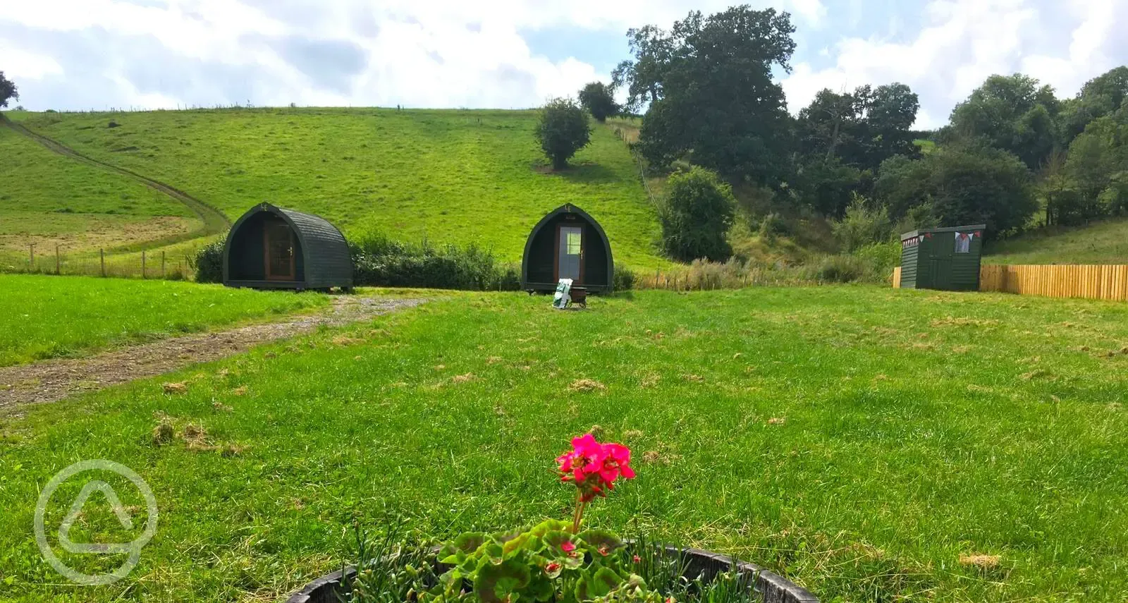 Camping field and pods