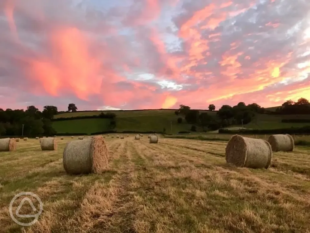 Sunset views