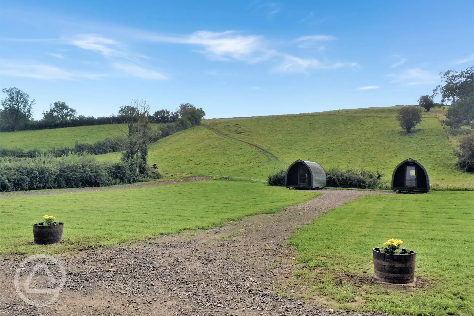 Camping field and pods