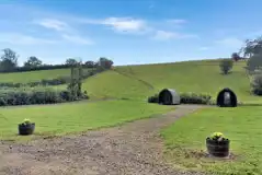 Camping field and pods Camping field and pods