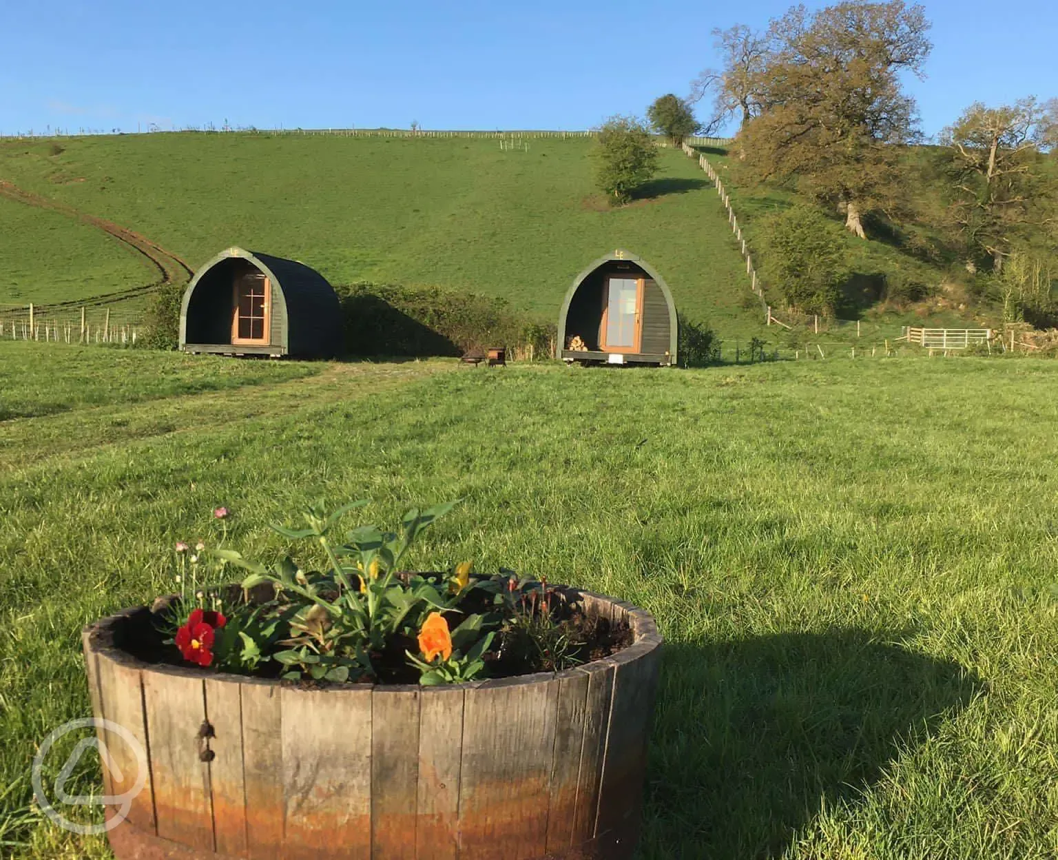 Camping field and pods