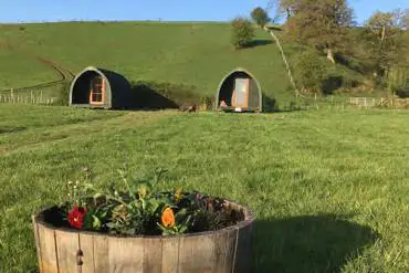 Camping field and pods