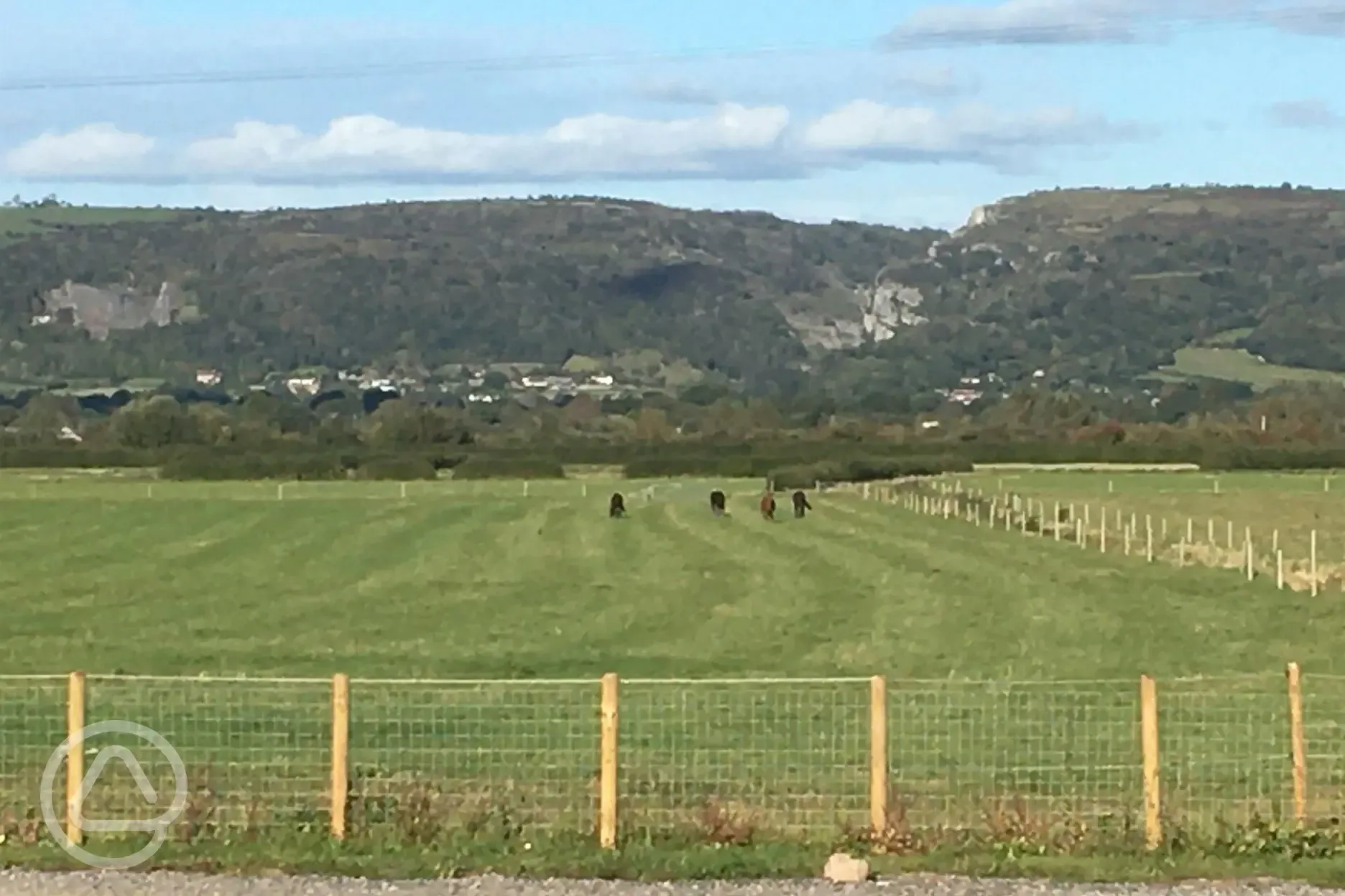 Non electric grass tent pitches