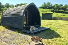 Camping pod - dog friendly Camping pod - dog friendly