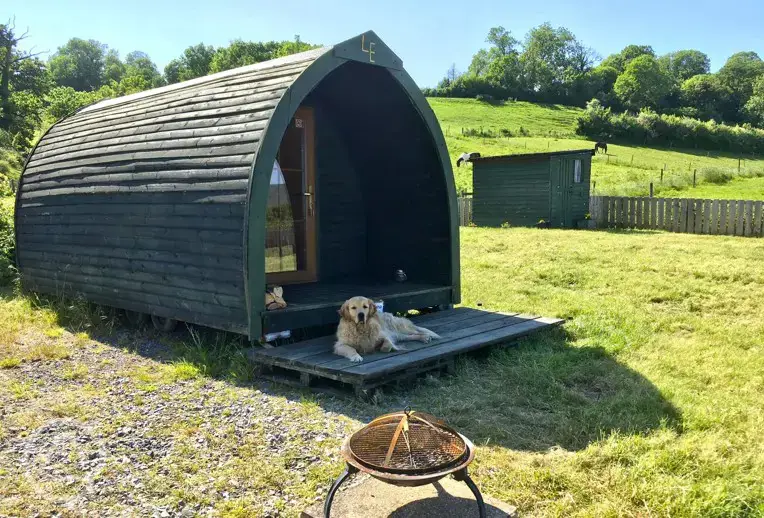 Camping pod - dog friendly