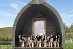 Camping pods Camping pods