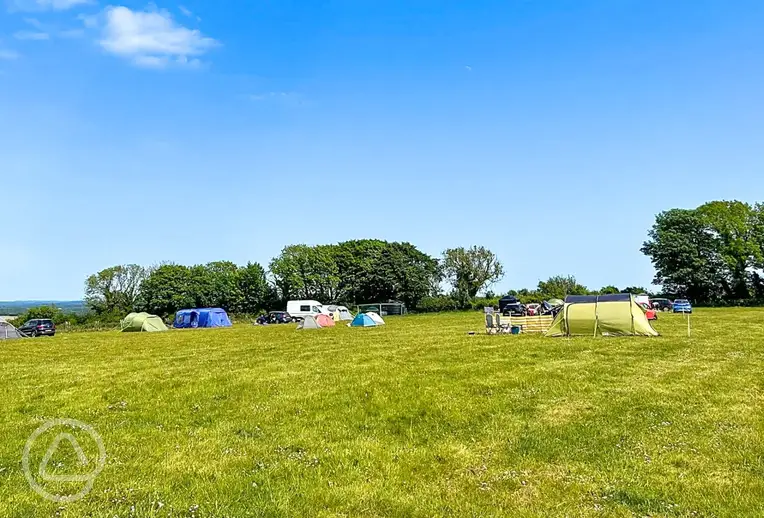 Non electric grass tent pitches at Donkey Down Camping at Culliford Tree