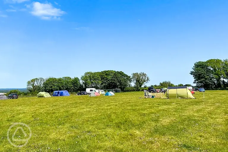 Non electric grass tent pitches at Donkey Down Camping at Culliford Tree