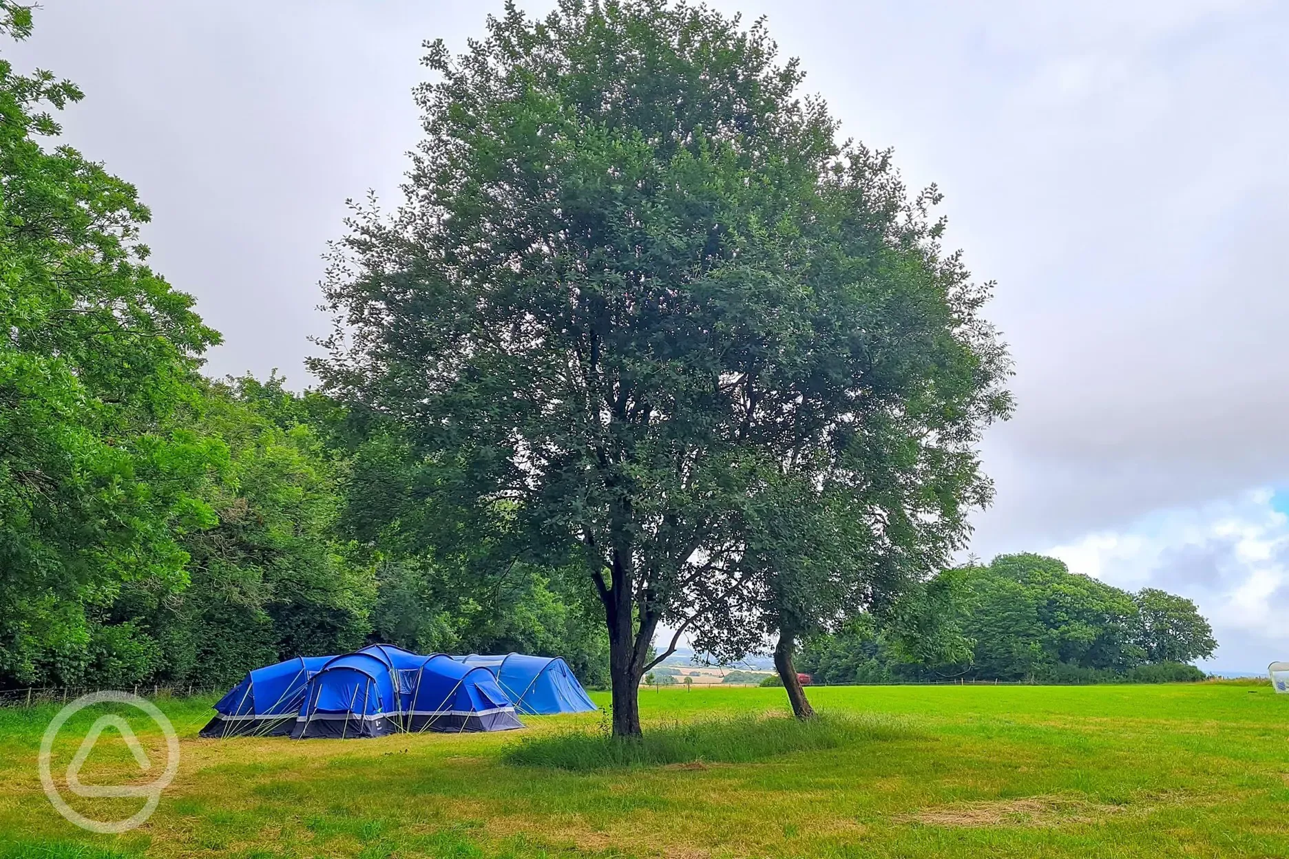 Non electric grass tent pitches 