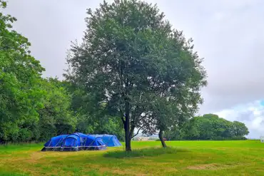 Non electric grass tent pitches 