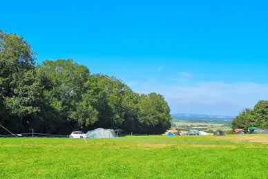 Donkey Down Camping at Culliford Tree