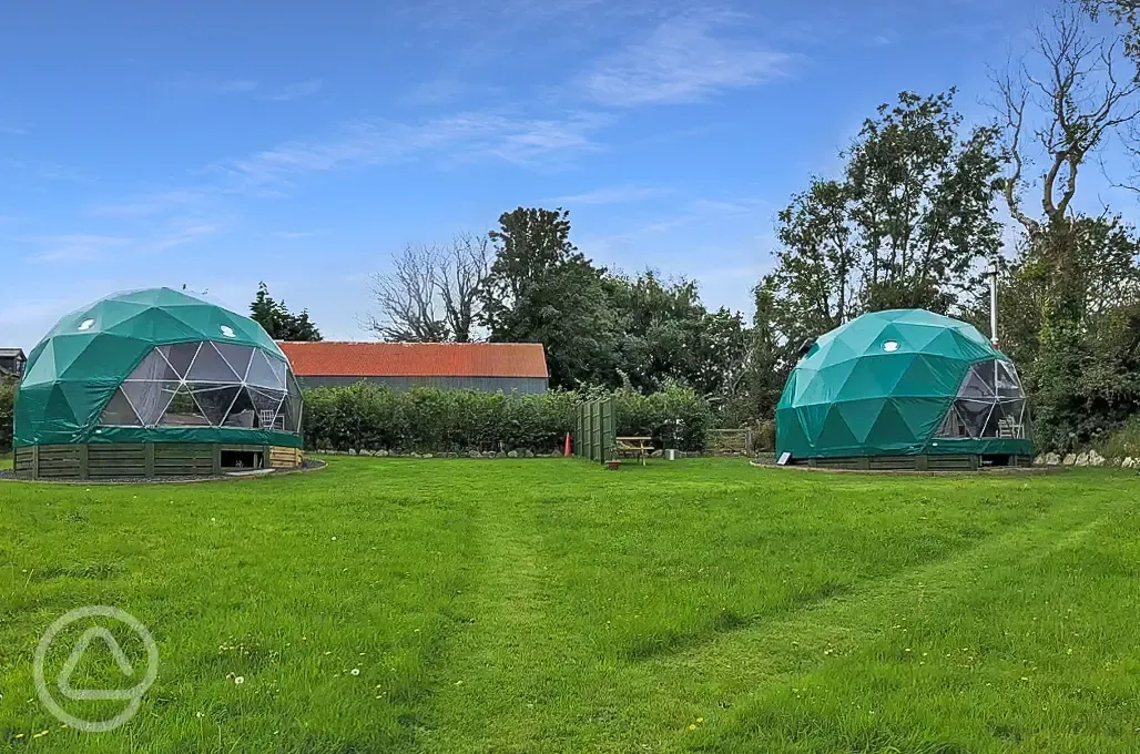 Geodesic domes