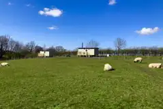 Shepherd's huts