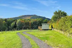 Shepherd's hut