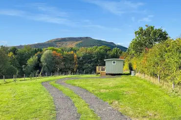 Shepherd's hut