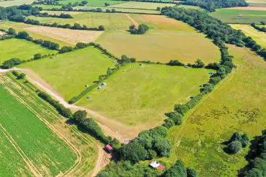 Barley Fields Camping