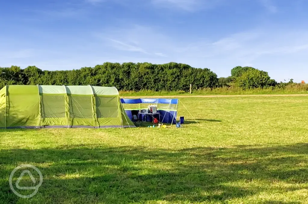 Non electric grass pitches