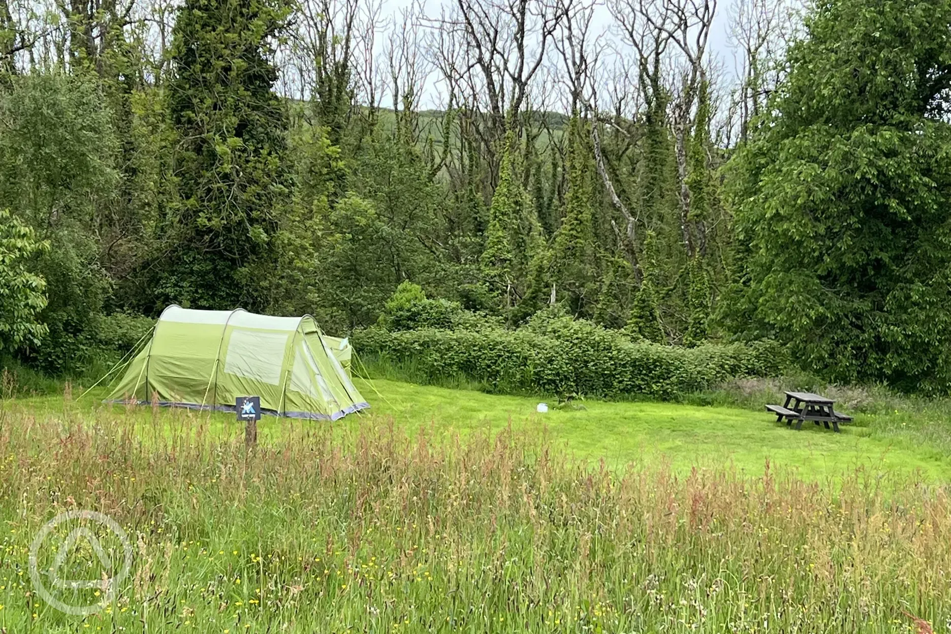 Non electric grass tent pitch with picnic benches