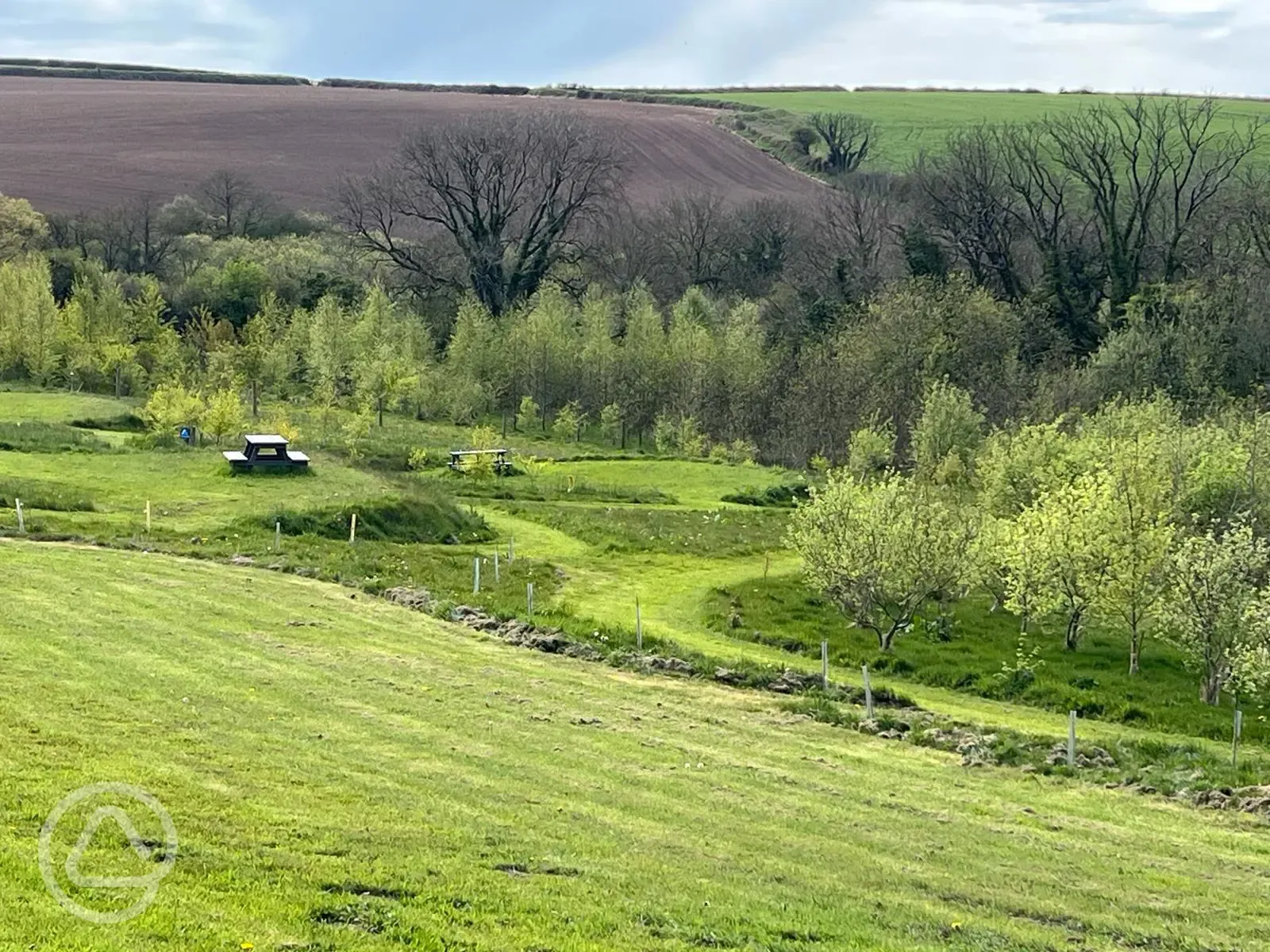 Non electric grass tent pitch