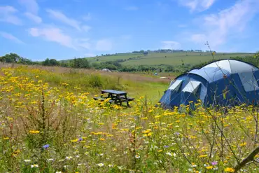 Non electric grass tent pitches