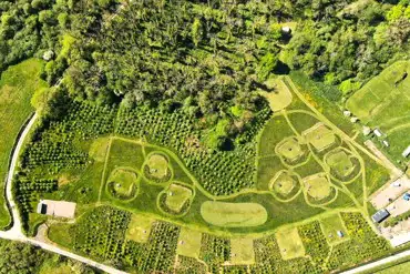 Bird's eye view of the grass pitches