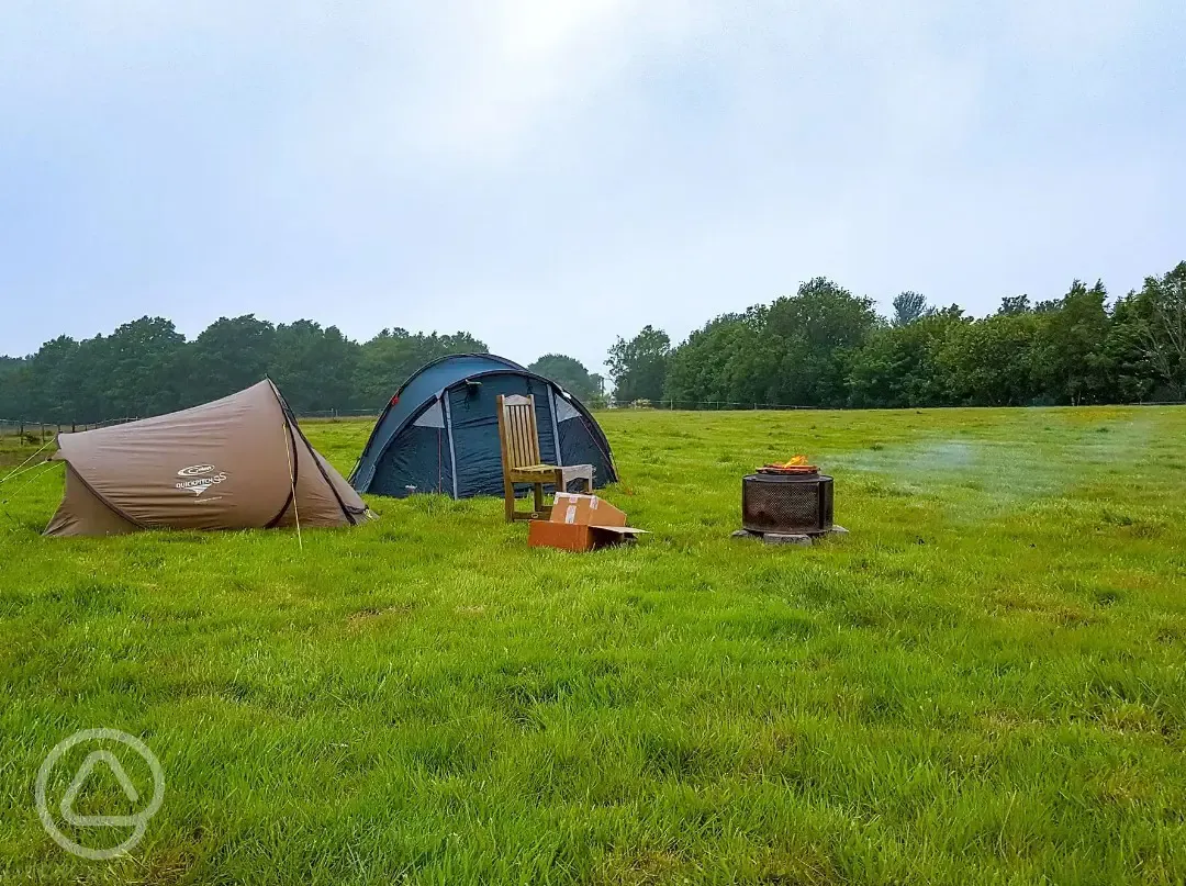 Non electric grass tent pitches 