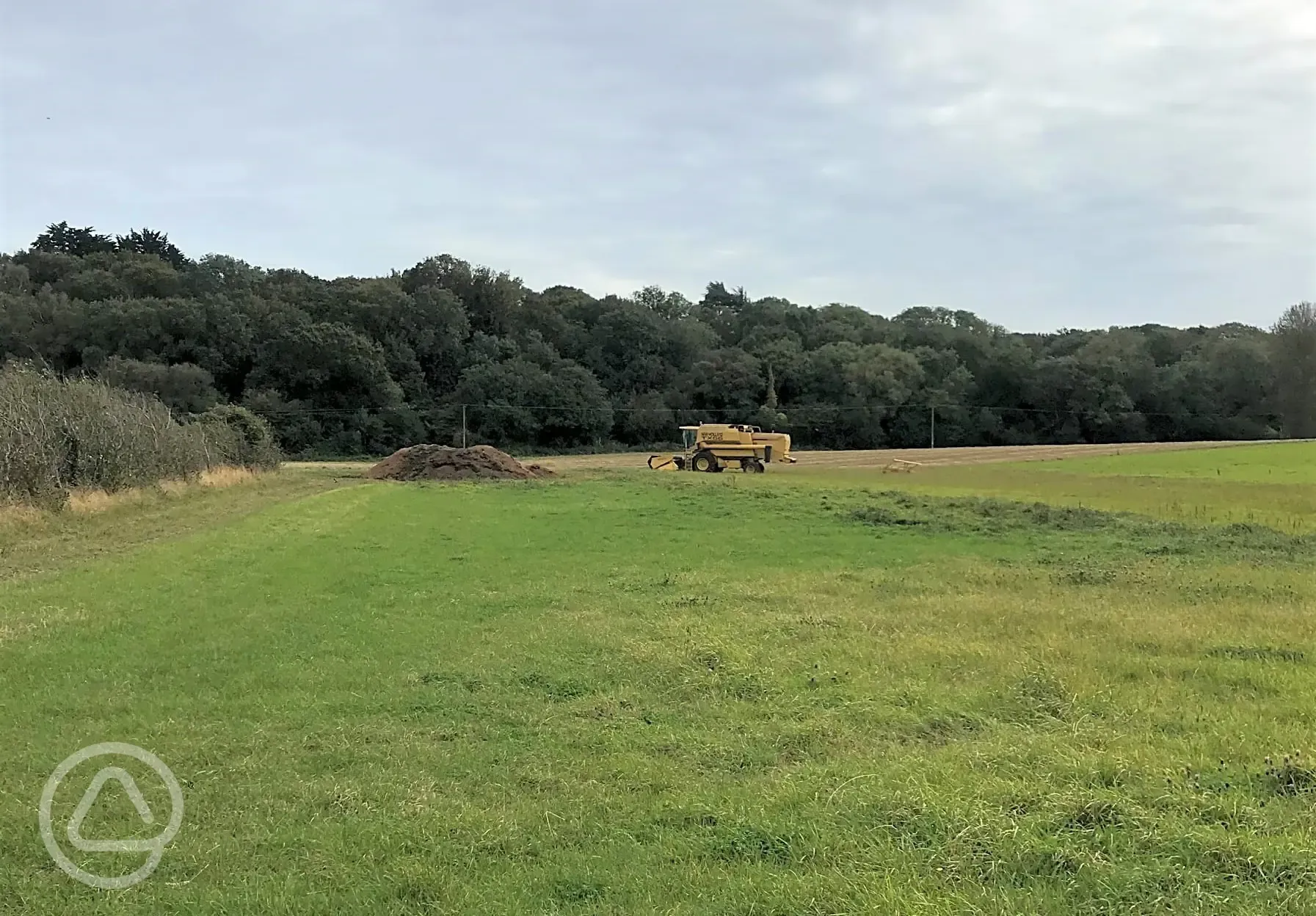 Non electric grass tent pitches 