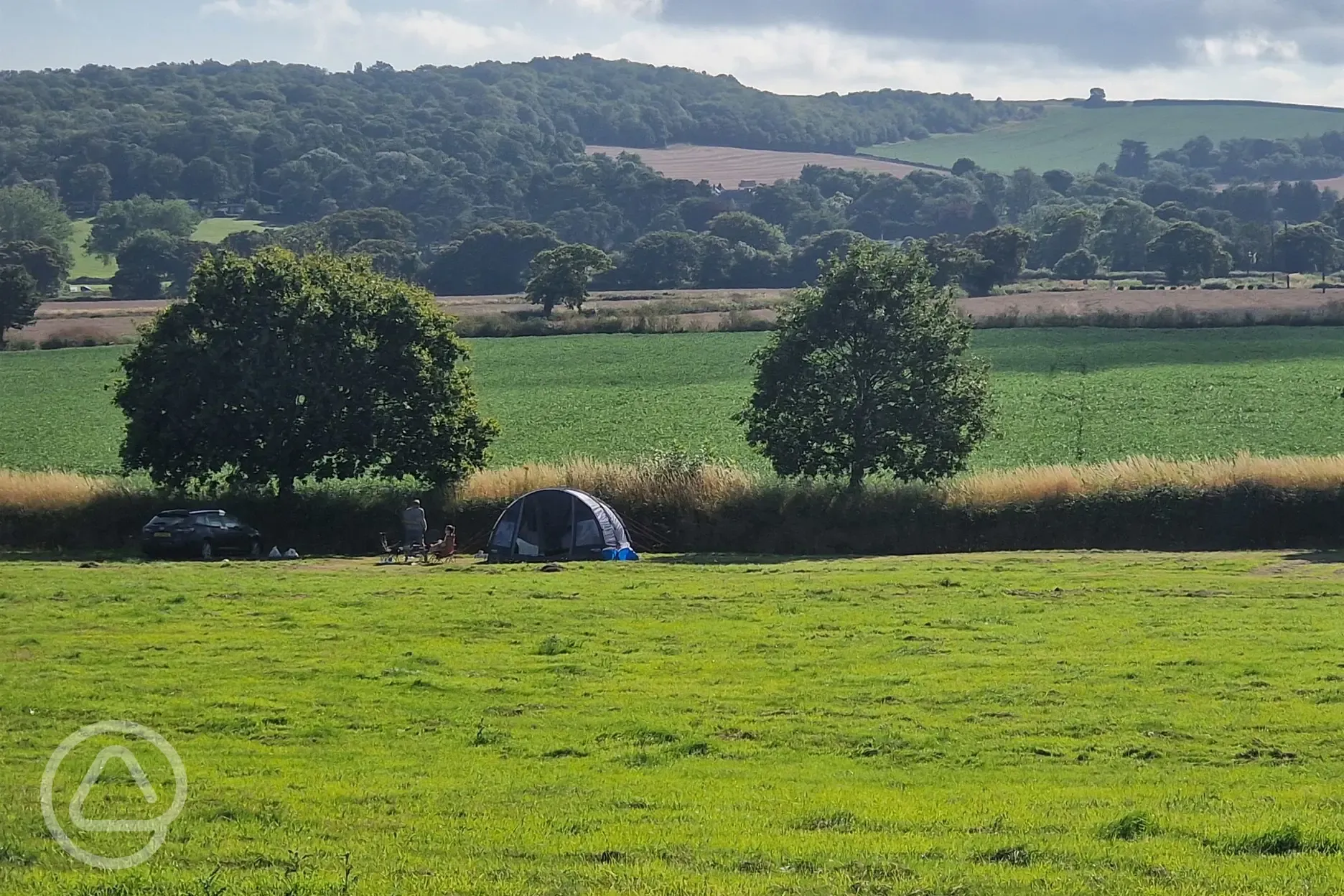 Grass pitches