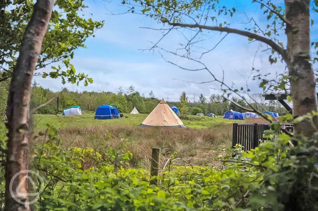 Meadow camping pitches