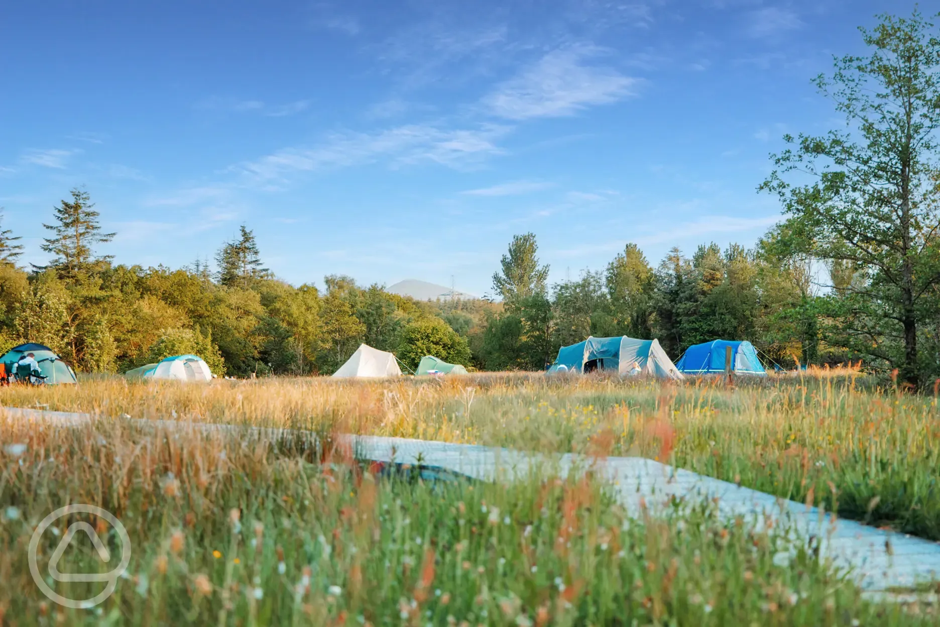 Grass camping pitches at Cae Lal