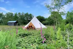 Unfurnished bell tent set within a wild meadow Unfurnished bell tent set within a wild meadow