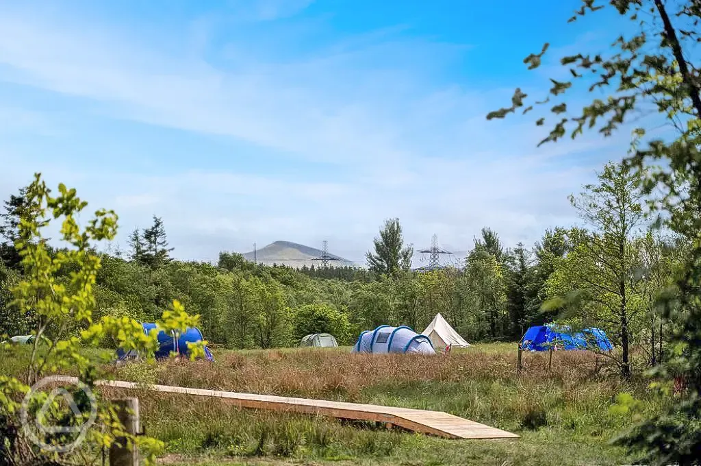 Meadow camping pitches