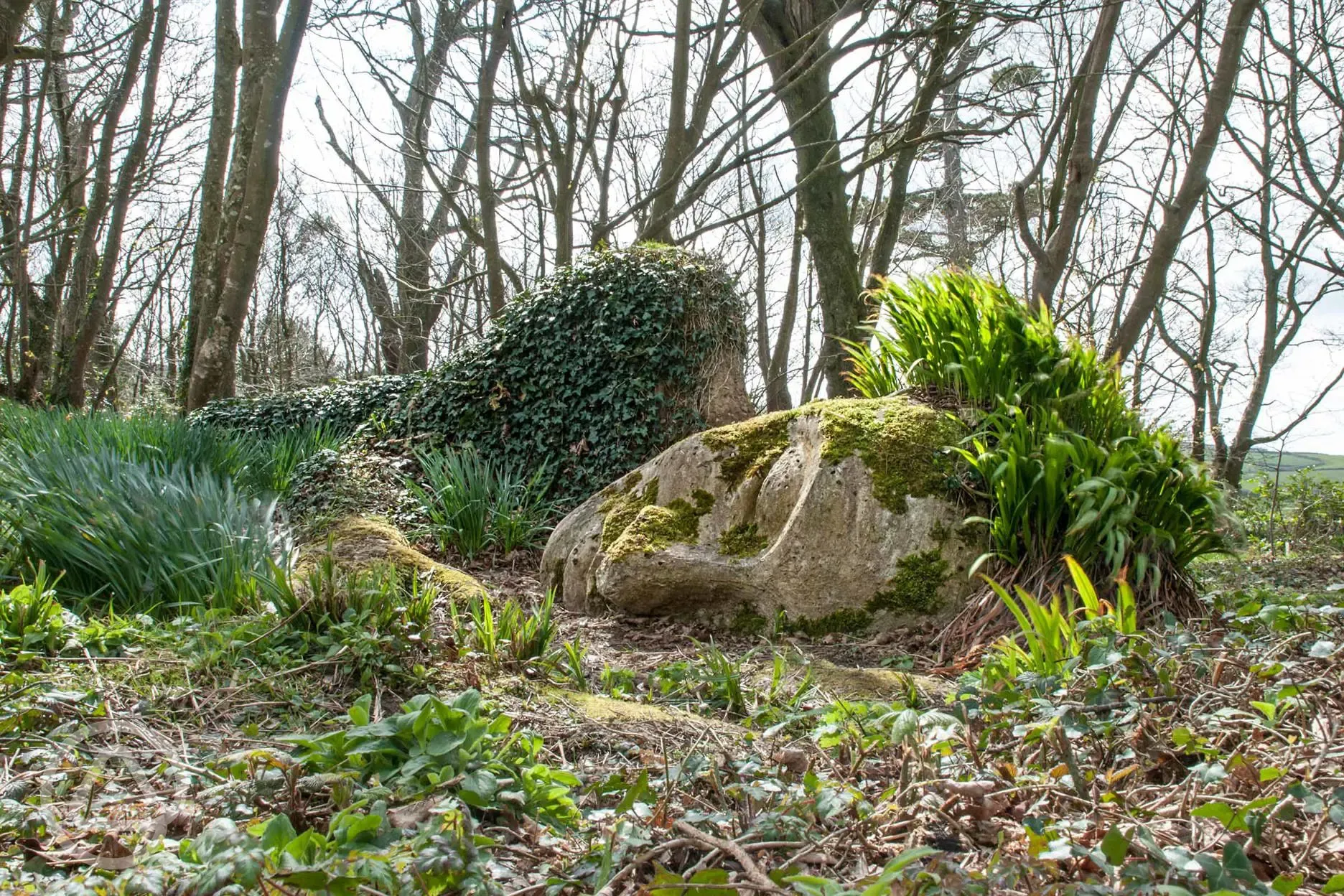 Lost Gardens of Heligan