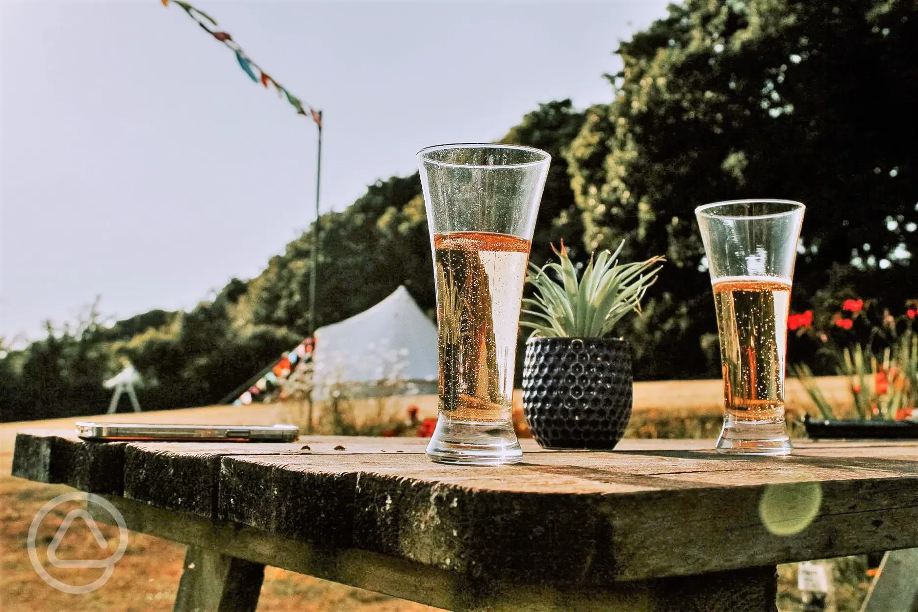 The Tinner picnic table