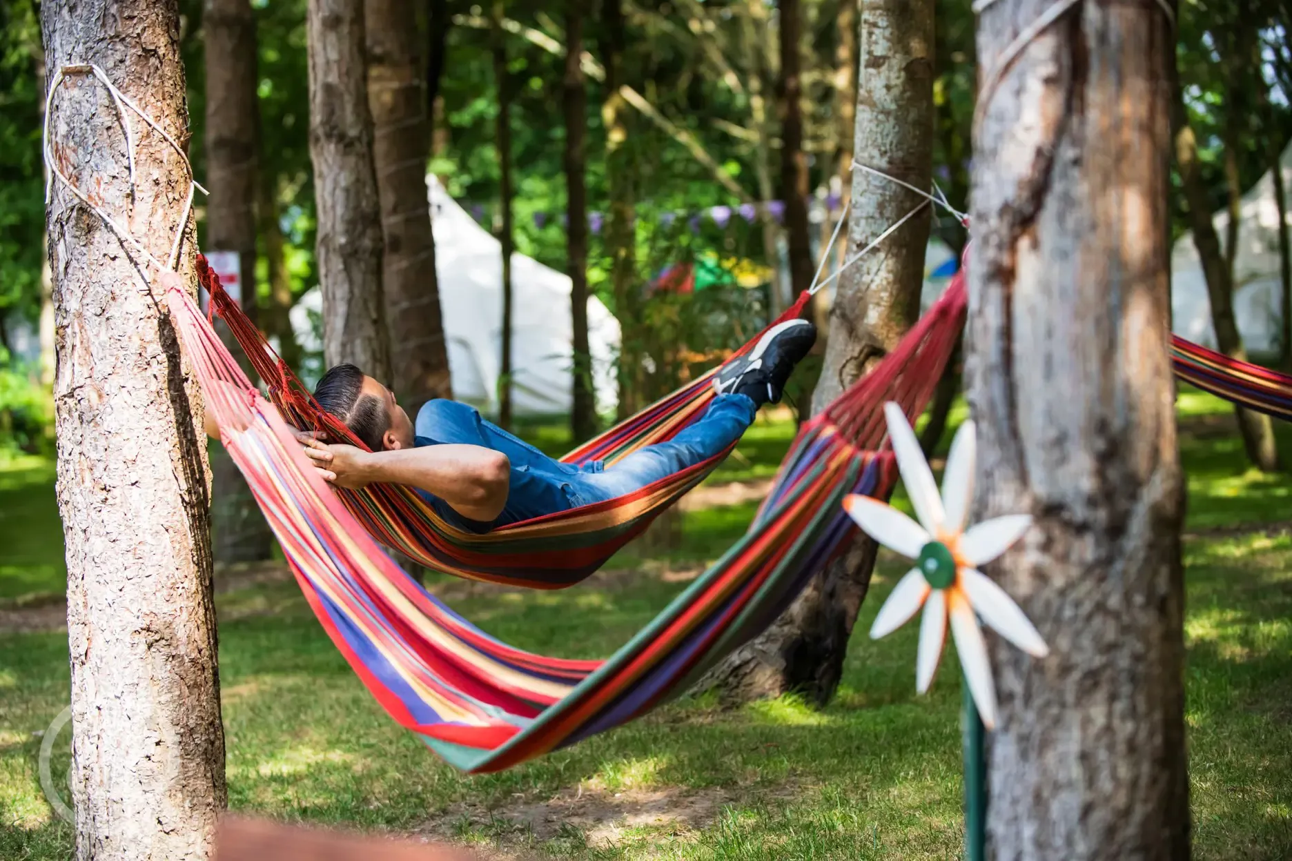 Hammocks