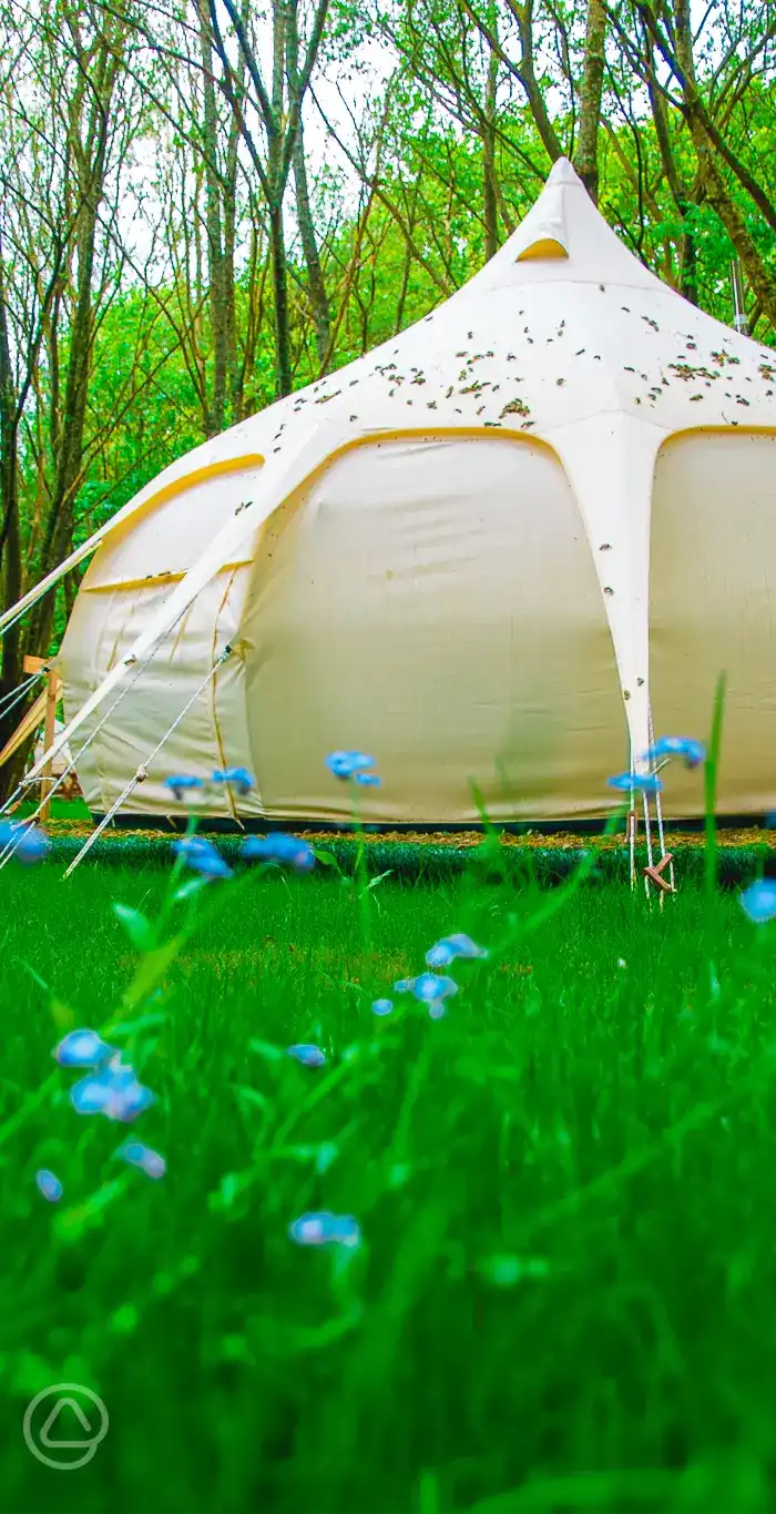 Southwood Park in Hambrook, West Sussex book online now