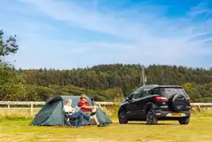 Electric grass pitches with 10 amp hook ups