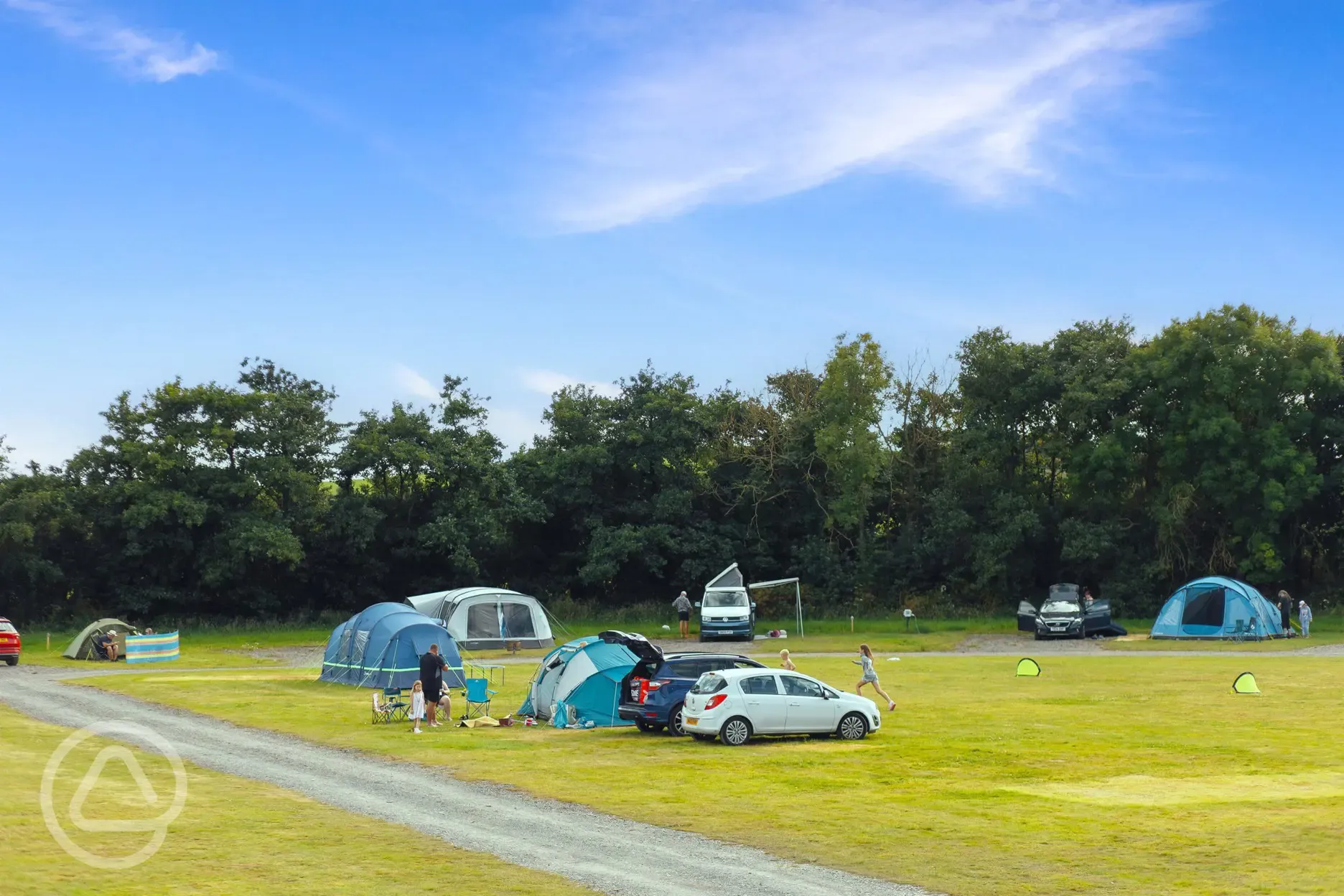 Grass pitches