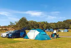 Non electric grass pitches with space for a parked car