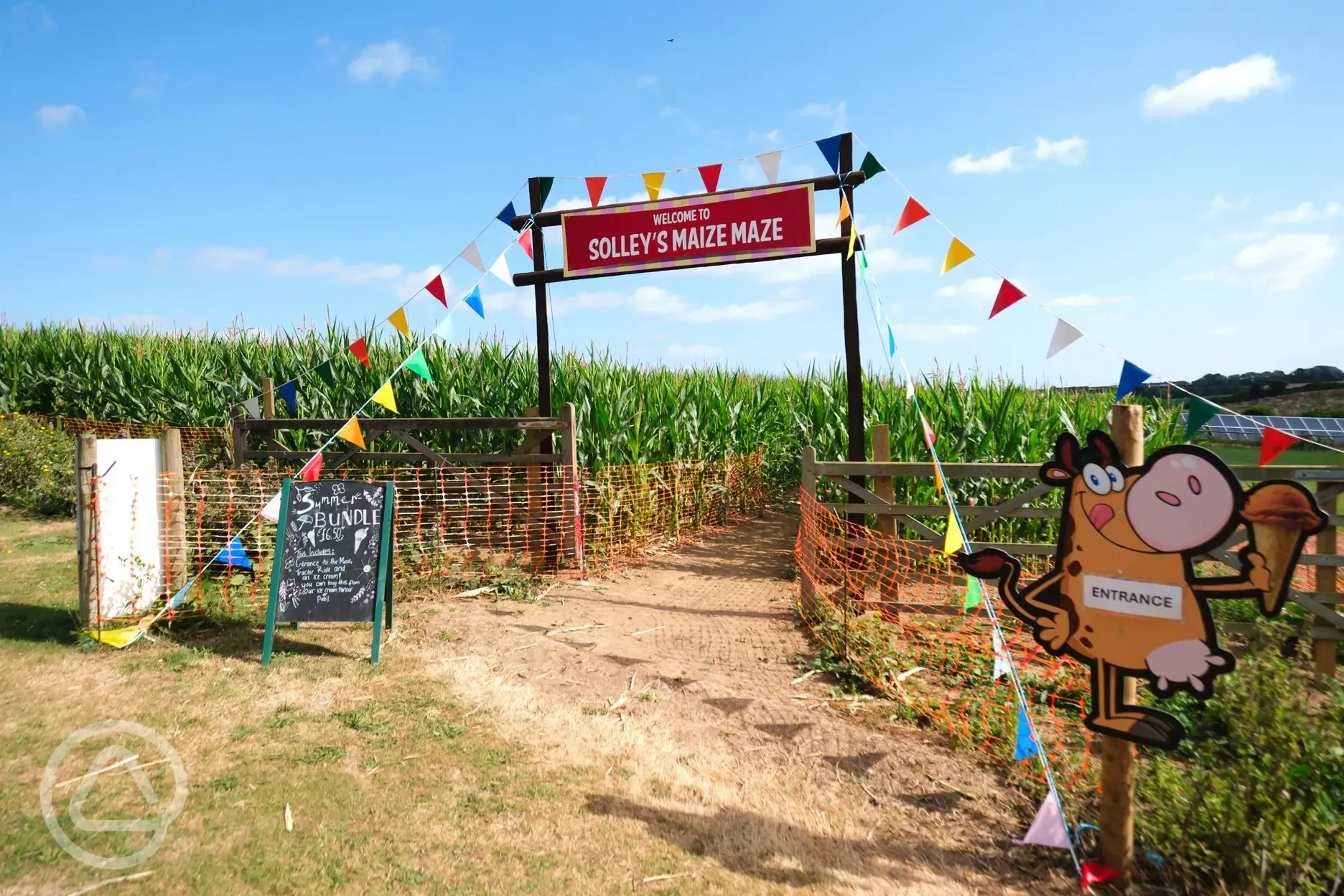 Solley's maize maze open in late summer