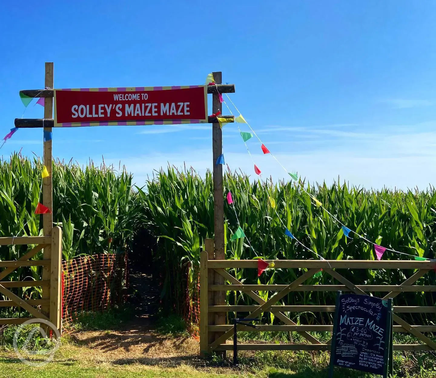 Solley's maize maze open in late summer