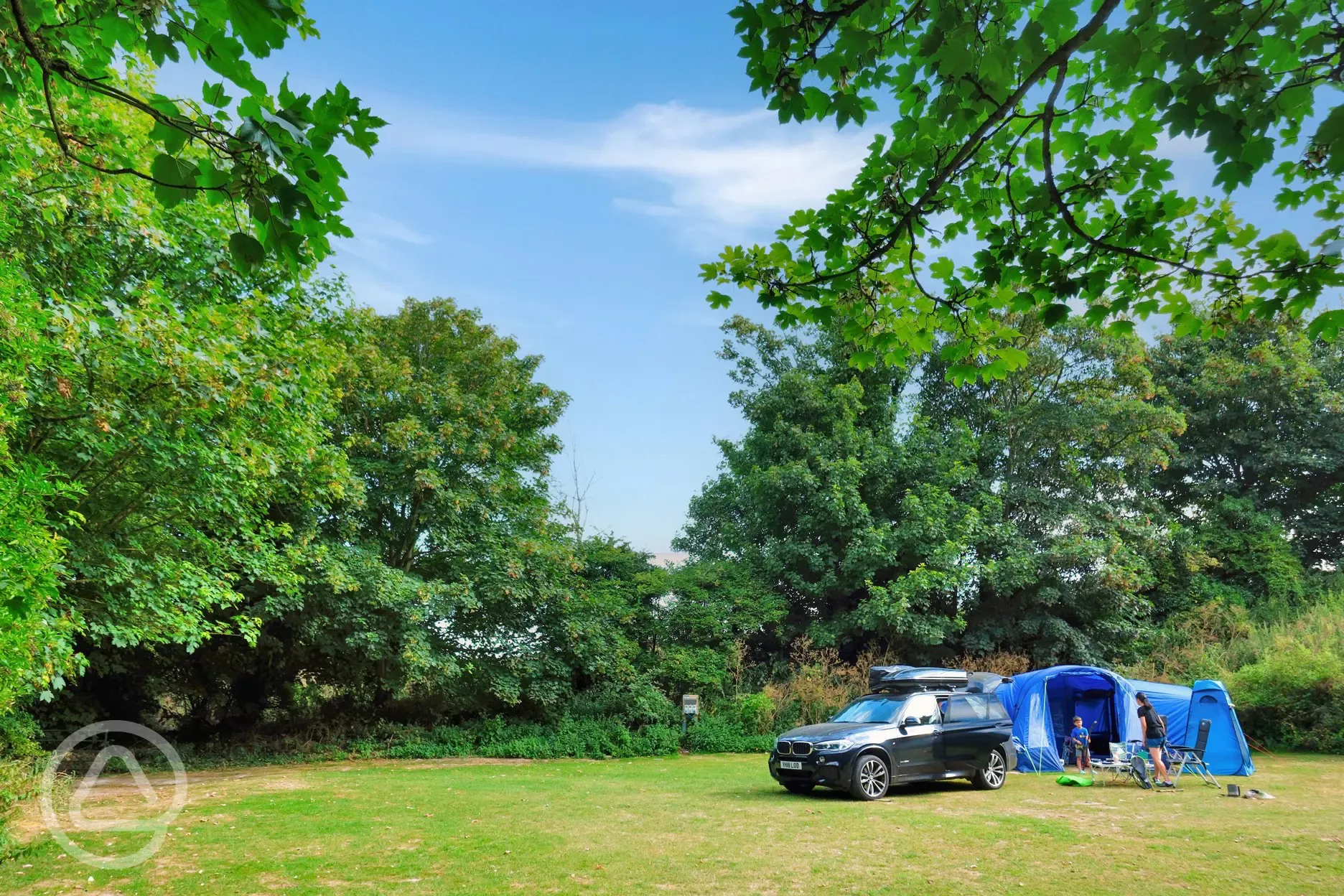 Electric grass pitches (the paddock)